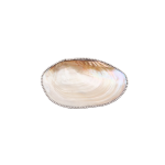 Conchiglia Madre Perla Dettagli in Argento 925