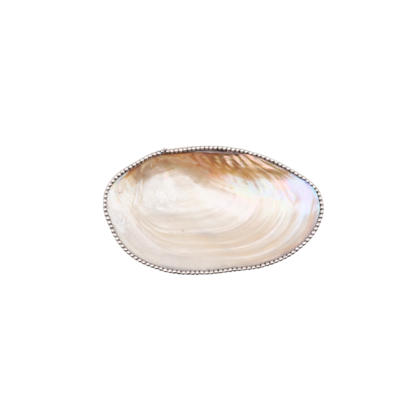 Conchiglia Madre Perla Dettagli in Argento 925