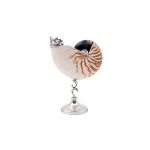 Conchiglia Nautilus Di Taglia grande con Base e Dettagli in Argento 925