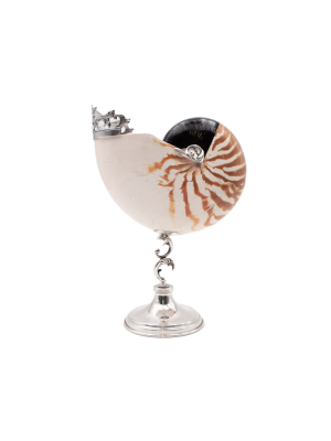 Conchiglia Nautilus Di Taglia grande con Base e Dettagli in Argento 925