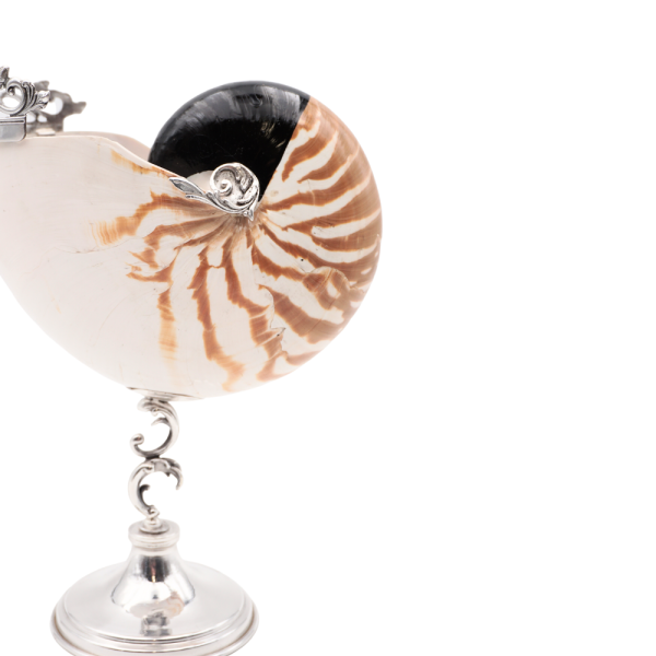 Conchiglia Nautilus Di Taglia grande con Base e Dettagli in Argento 925