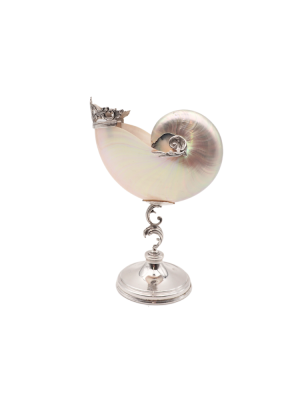 Conchiglia Nautilus Di Taglia Piccola con Base e Dettagli in Argento 925