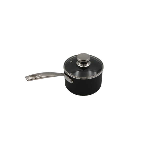 Ballarini saucepan with handle and lid