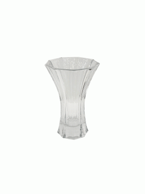 VASO-CRIST-PICCOLO-ROGASKA-2.gif